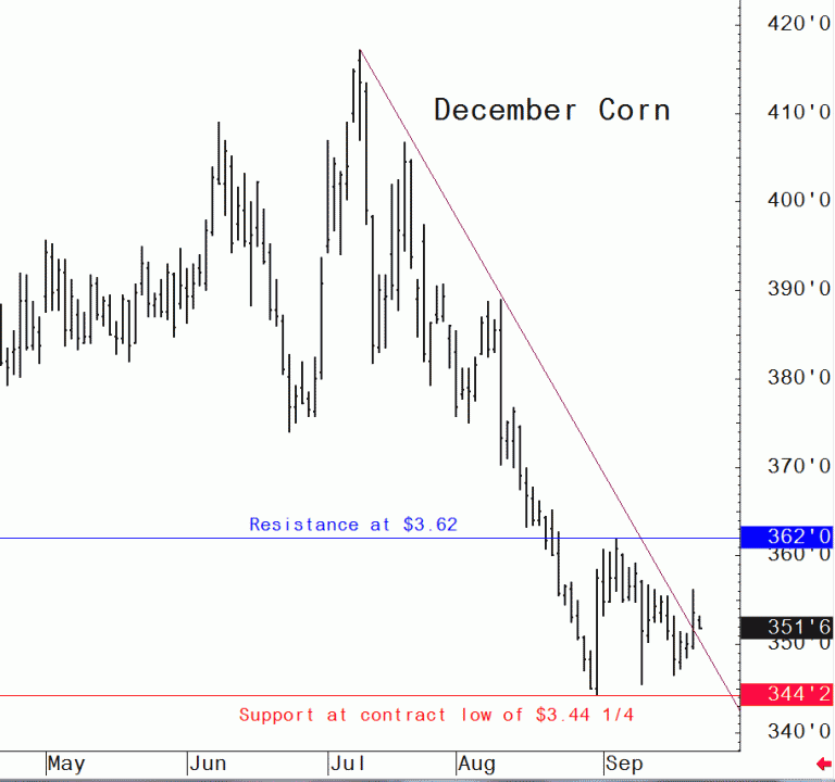 Corn Market Bulls Work to Forge Market Bottom